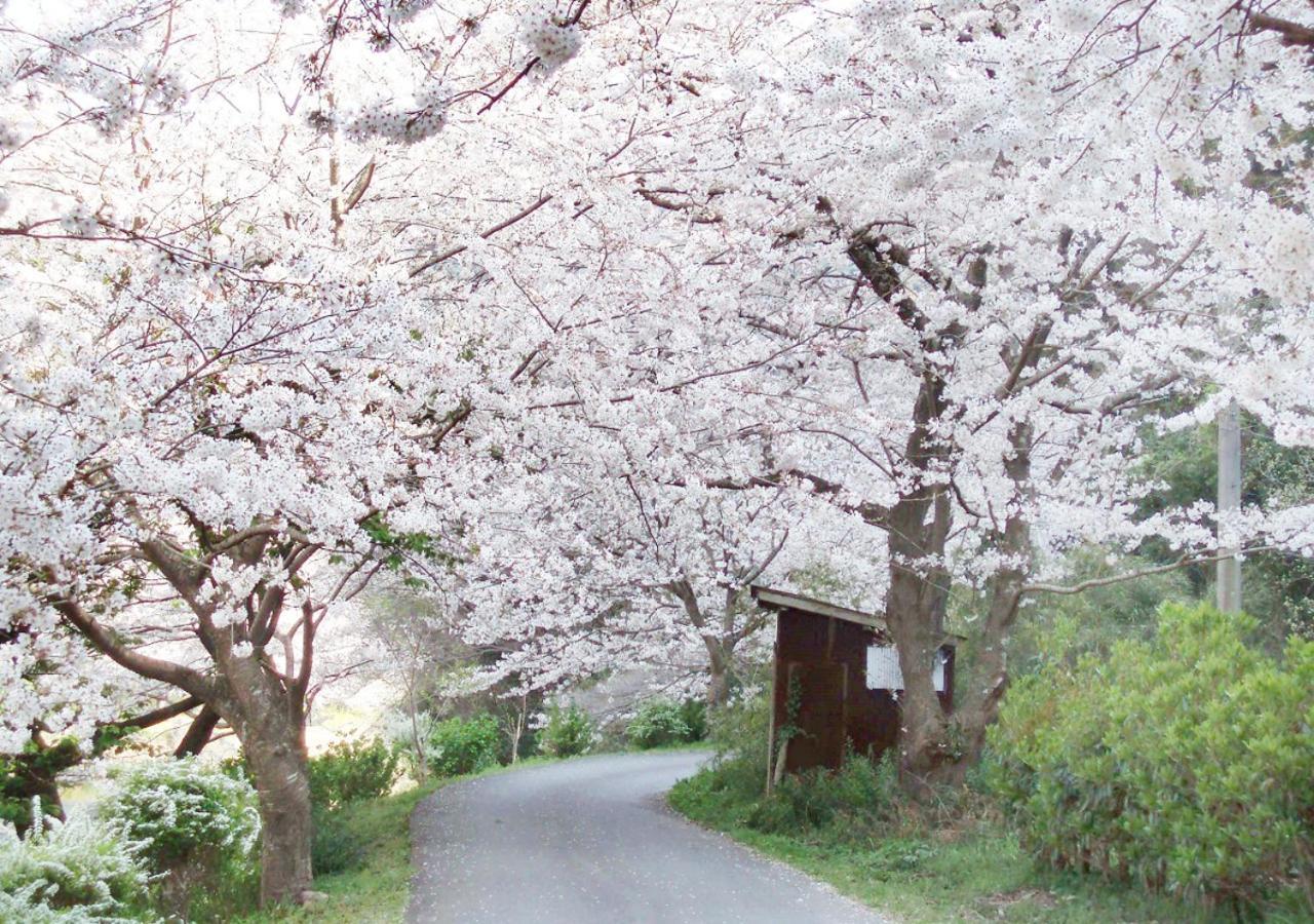 Nishiizu Matsuzaki Itoen Hotel Екстериор снимка
